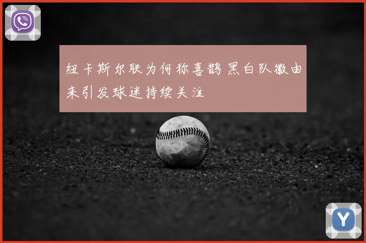 纽卡斯尔联为何称喜鹊 黑白队徽由来引发球迷持续关注