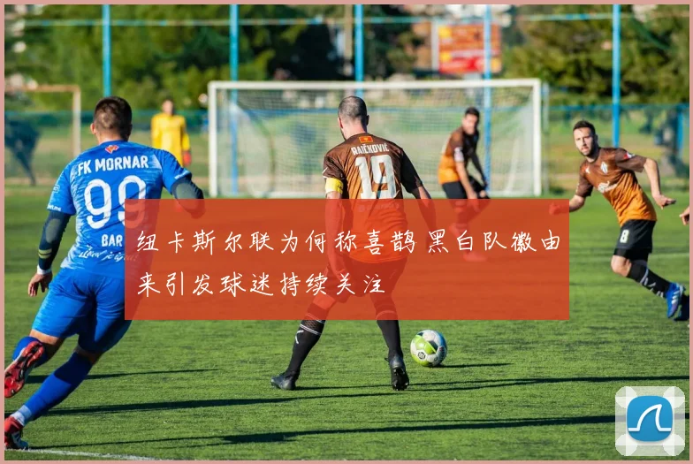 纽卡斯尔联为何称喜鹊 黑白队徽由来引发球迷持续关注