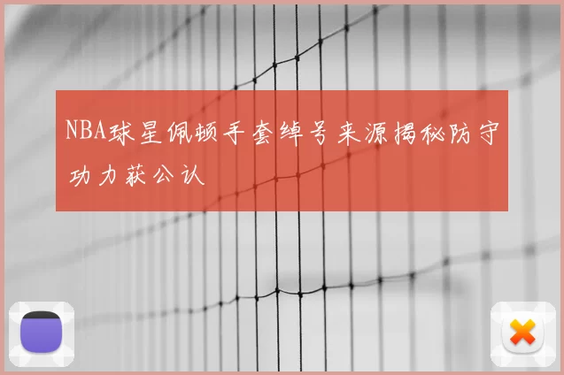 NBA球星佩顿手套绰号来源揭秘防守功力获公认