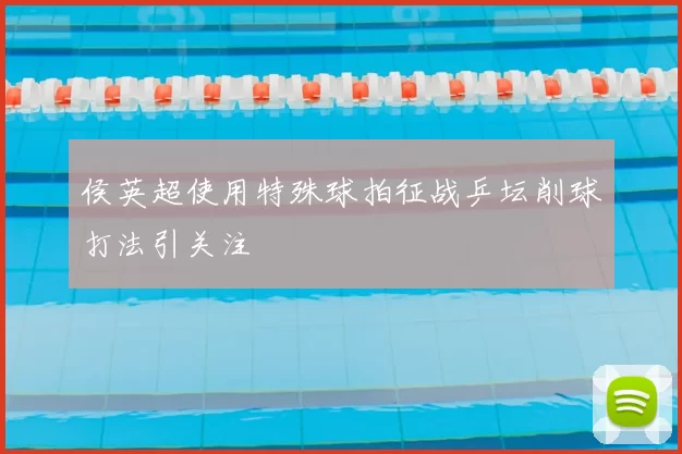 侯英超使用特殊球拍征战乒坛削球打法引关注