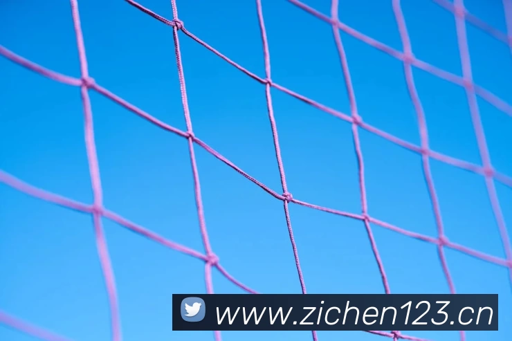 九游会·j9官方网站 - 全新游戏模式,挑战自我!APP 高清赛事图